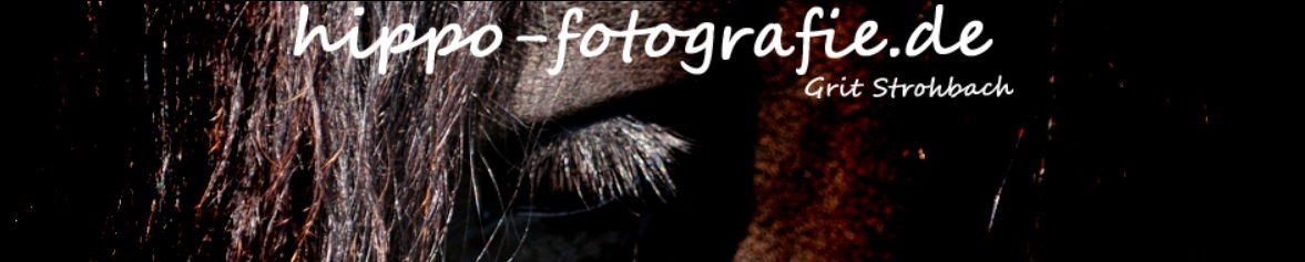 www.hippo-fotografie.de